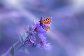 开云体育APP下载-国际体育摄影展落地成都吸引众多观众，世界体育摄影作品