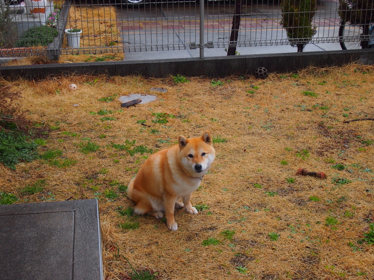 弗赖堡整体防守提高限制射门空间,弗赖堡位置