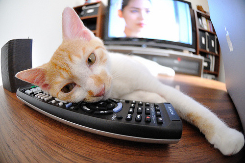 校园足球场地资源持续优化，校园足球场地标准尺寸