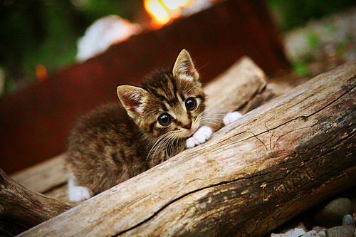 沙滩足球联赛福建赛区海风中激情四射，全国沙滩足球