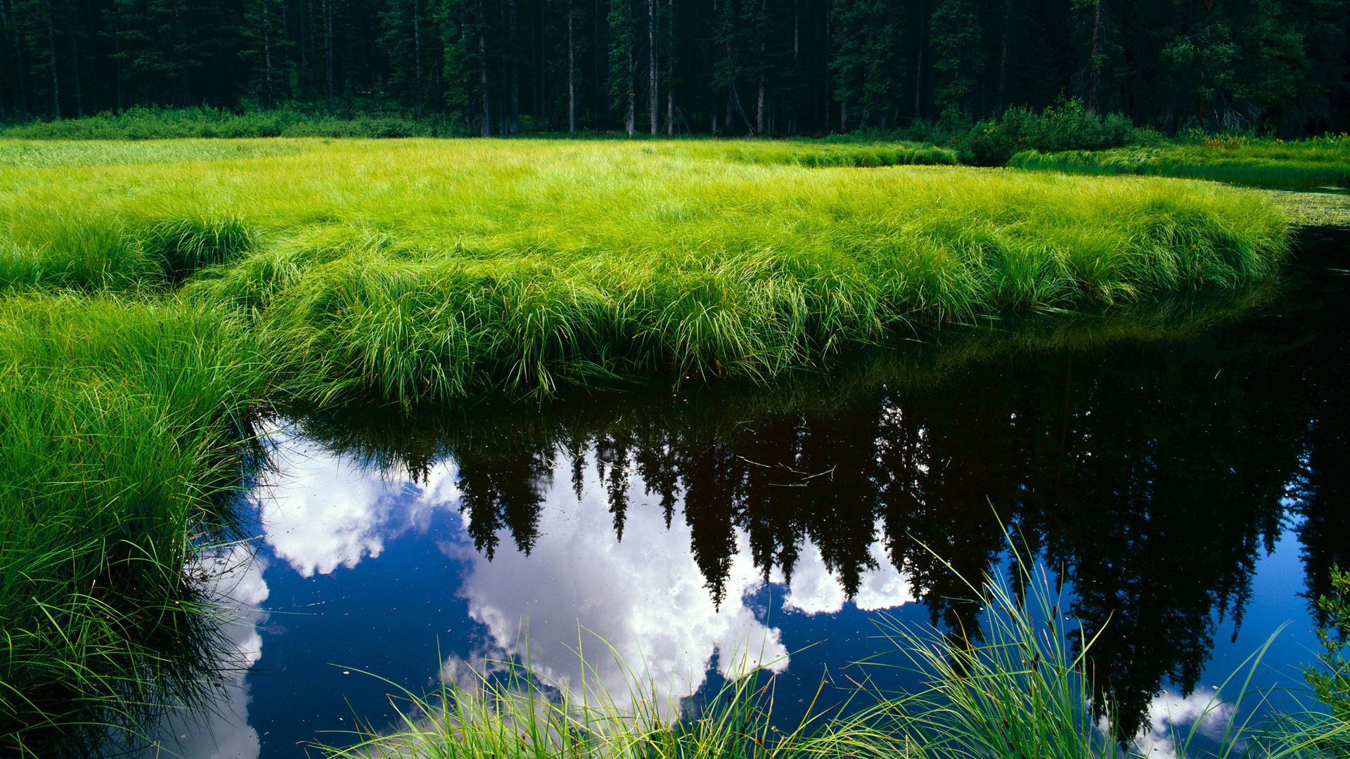 球员海外集训模式回归有待评估成效,海外球员百度贴吧